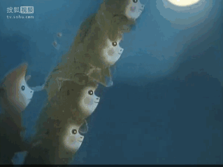 2019060513464277.gif 1.gif